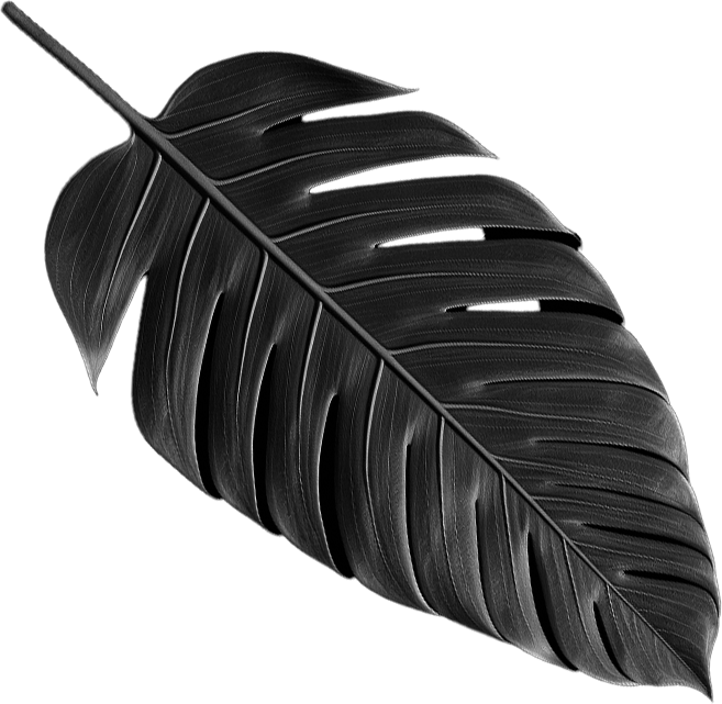 Leaf 1L