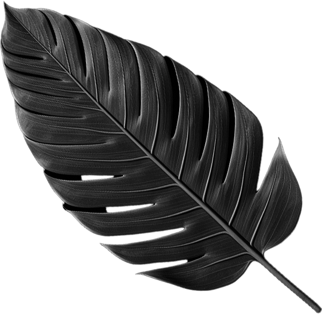 Leaf 3R