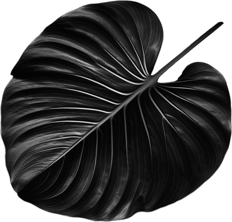 leaf2R
