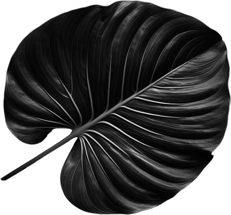 leaf4L