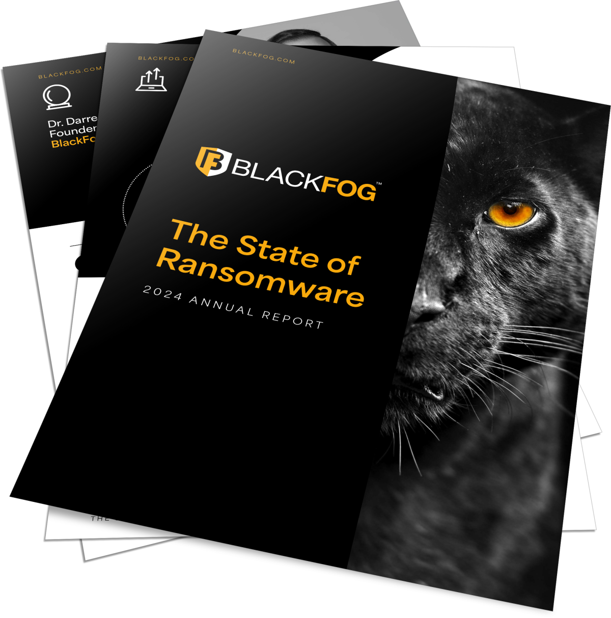 2024 RANSOMWARE REPORT GRAPHIC
