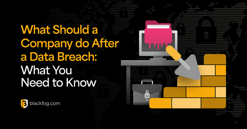 What Should a Company do After a Data Breach? Key Steps you Need to ...