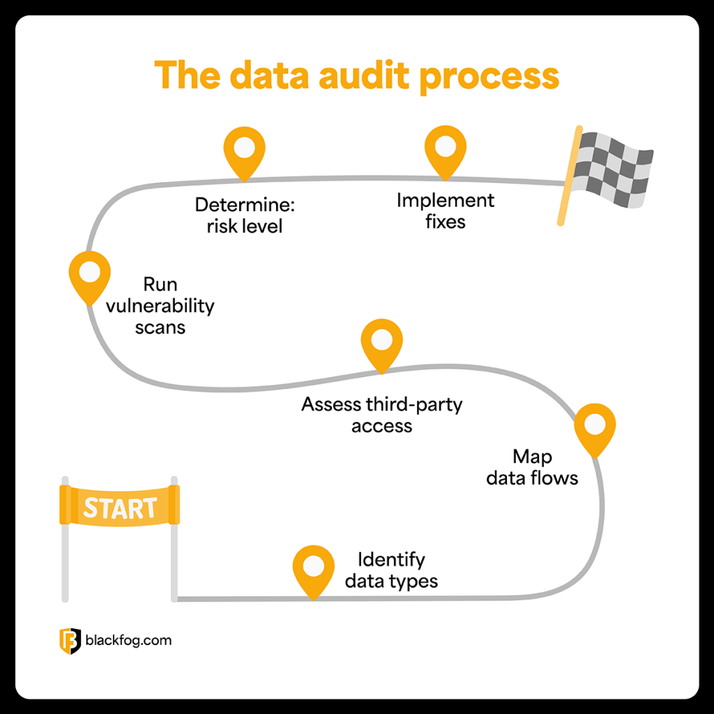 The data audit process