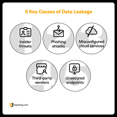 Data Leakage Demystified: Risks and Mitigation Strategies | BlackFog
