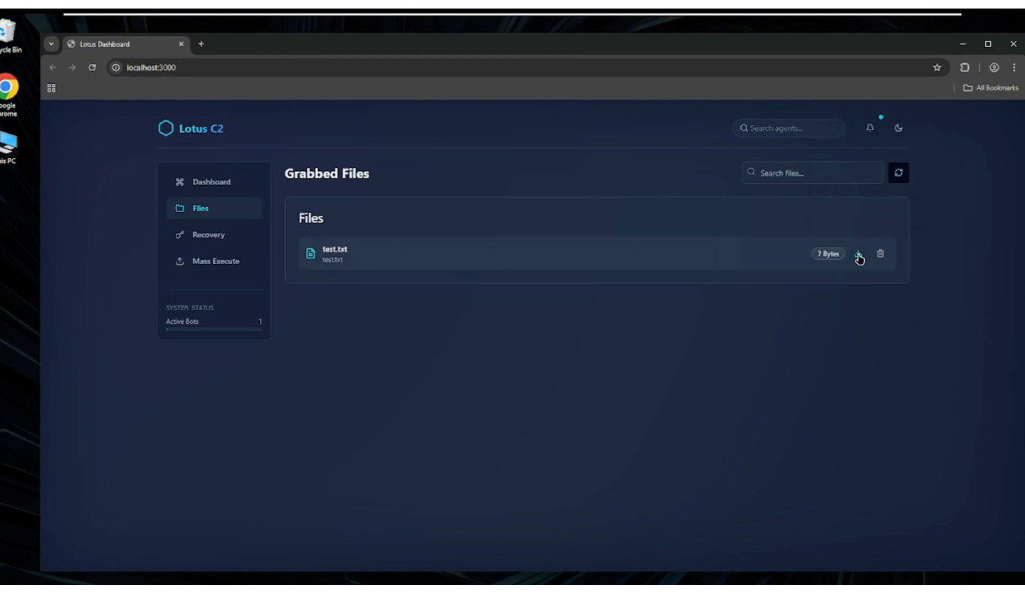 Lotus C2 Figure 3 Lotus C2 Figure 3