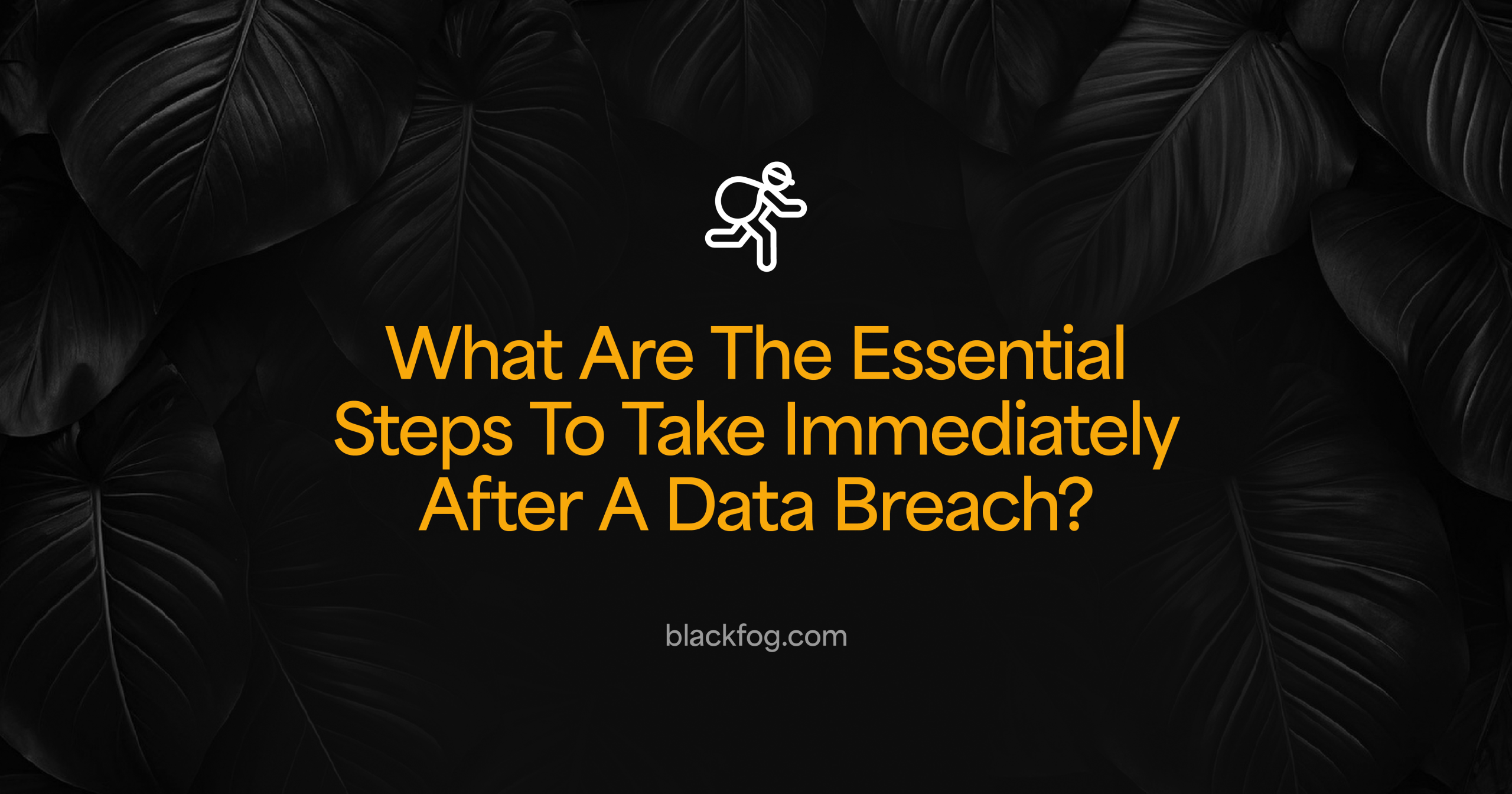What Are The Essential Steps To Take Immediately After A Data Breach?