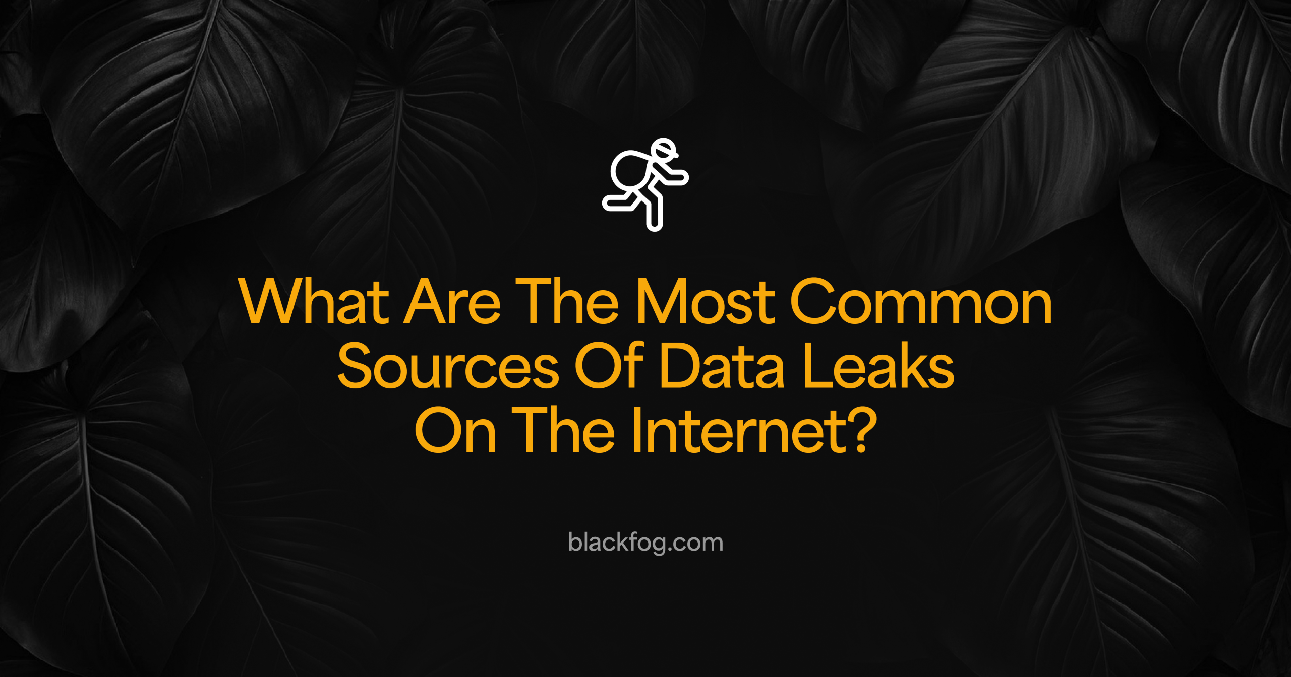 What Are The Most Common Sources Of Data Leaks On The Internet?