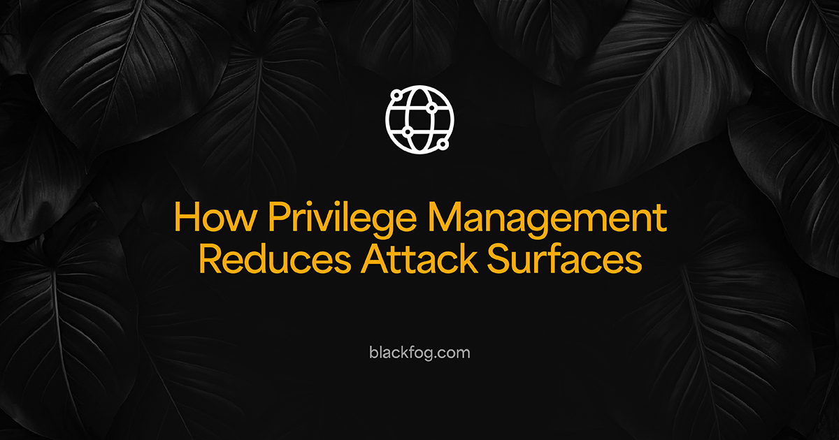 How Privilege Management Reduces Attack Surfaces