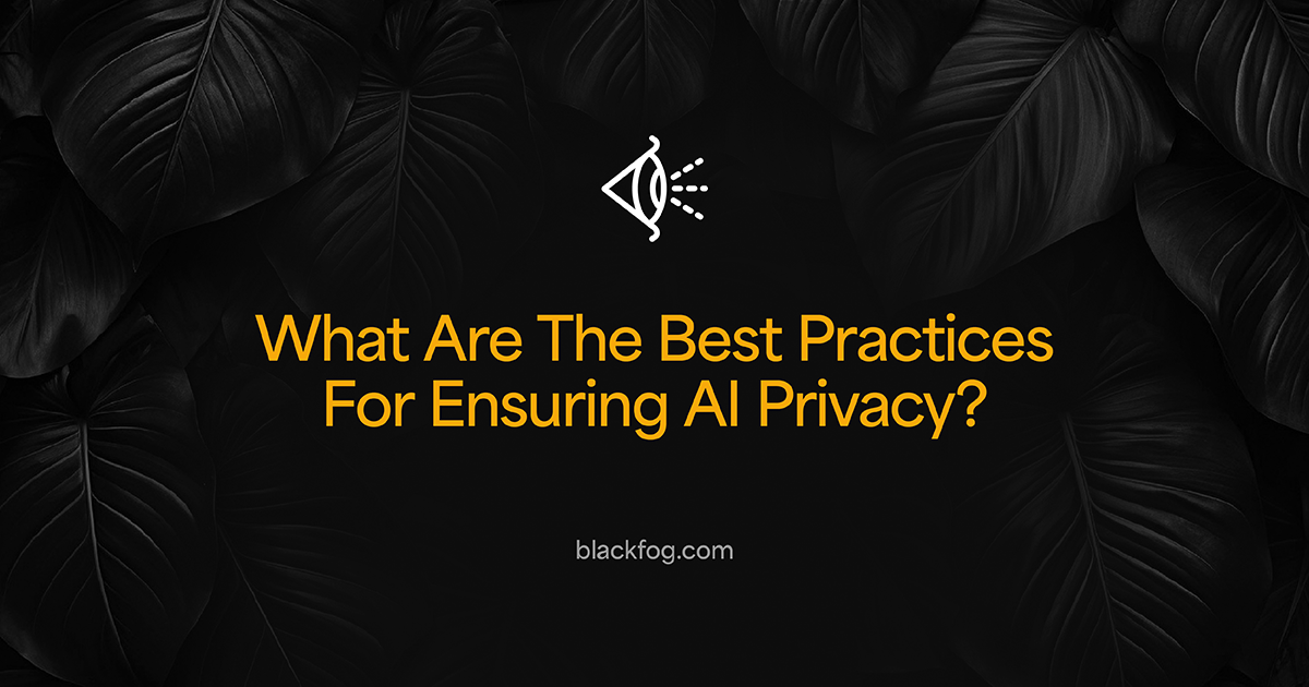 What Are The Best Practices For Ensuring AI Privacy?
