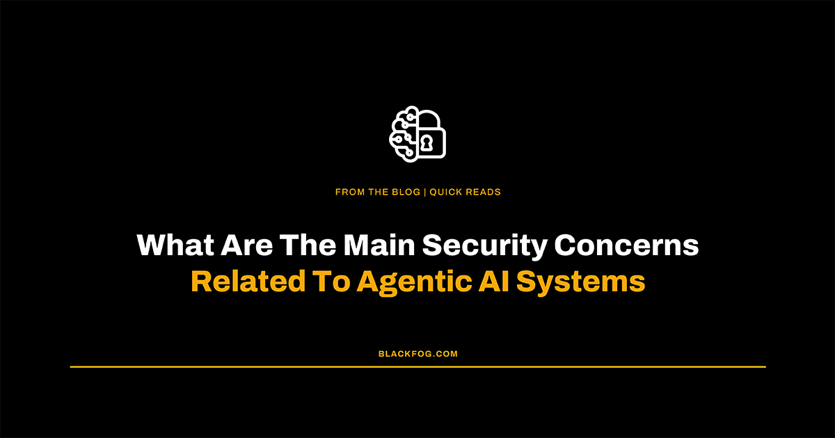 main security concerns related to agentic AI